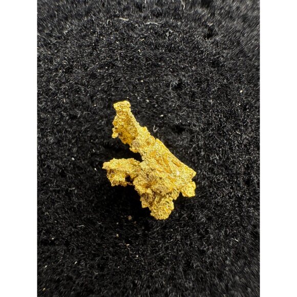 California Native Gold Crystal - 0.40 grams - Picture 6 of 9
